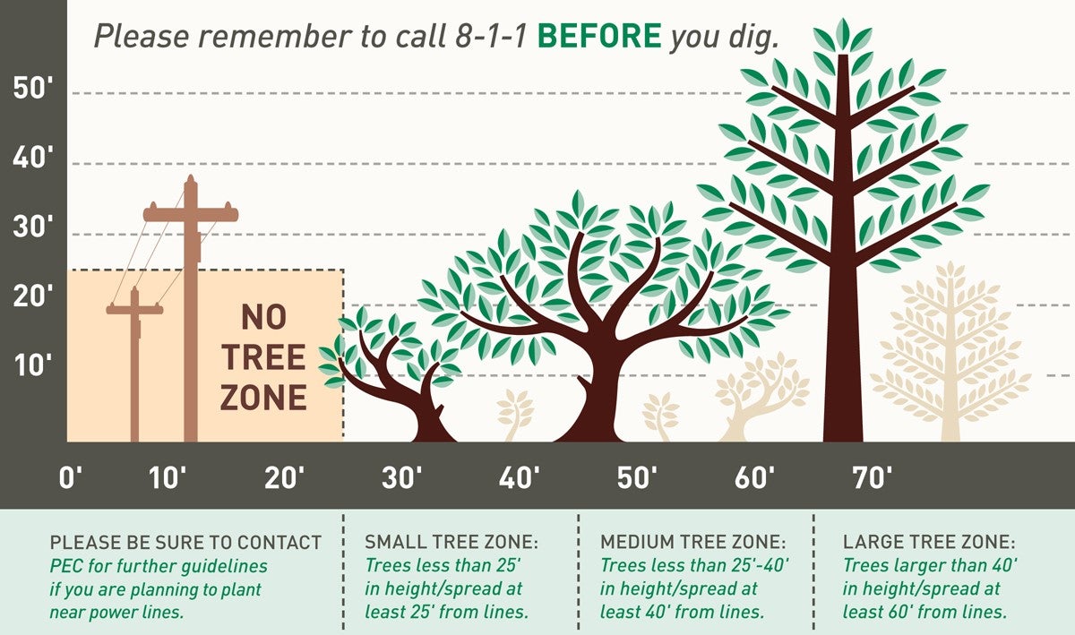 Landscape & Tree Planting Guidelines | People's Energy Cooperative